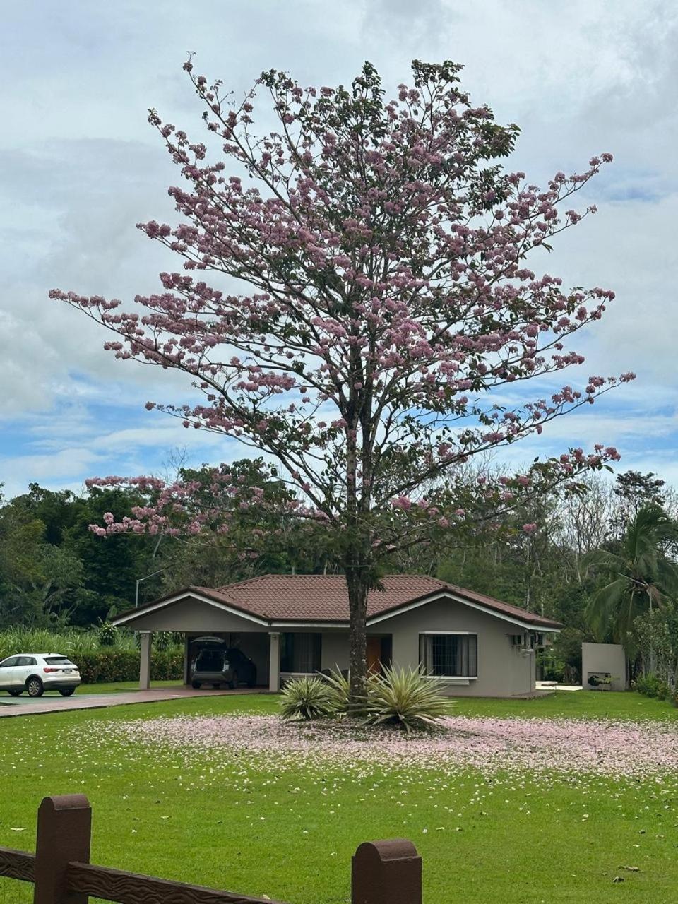 Casa Roble Fortuna La Fortuna Eksteriør billede